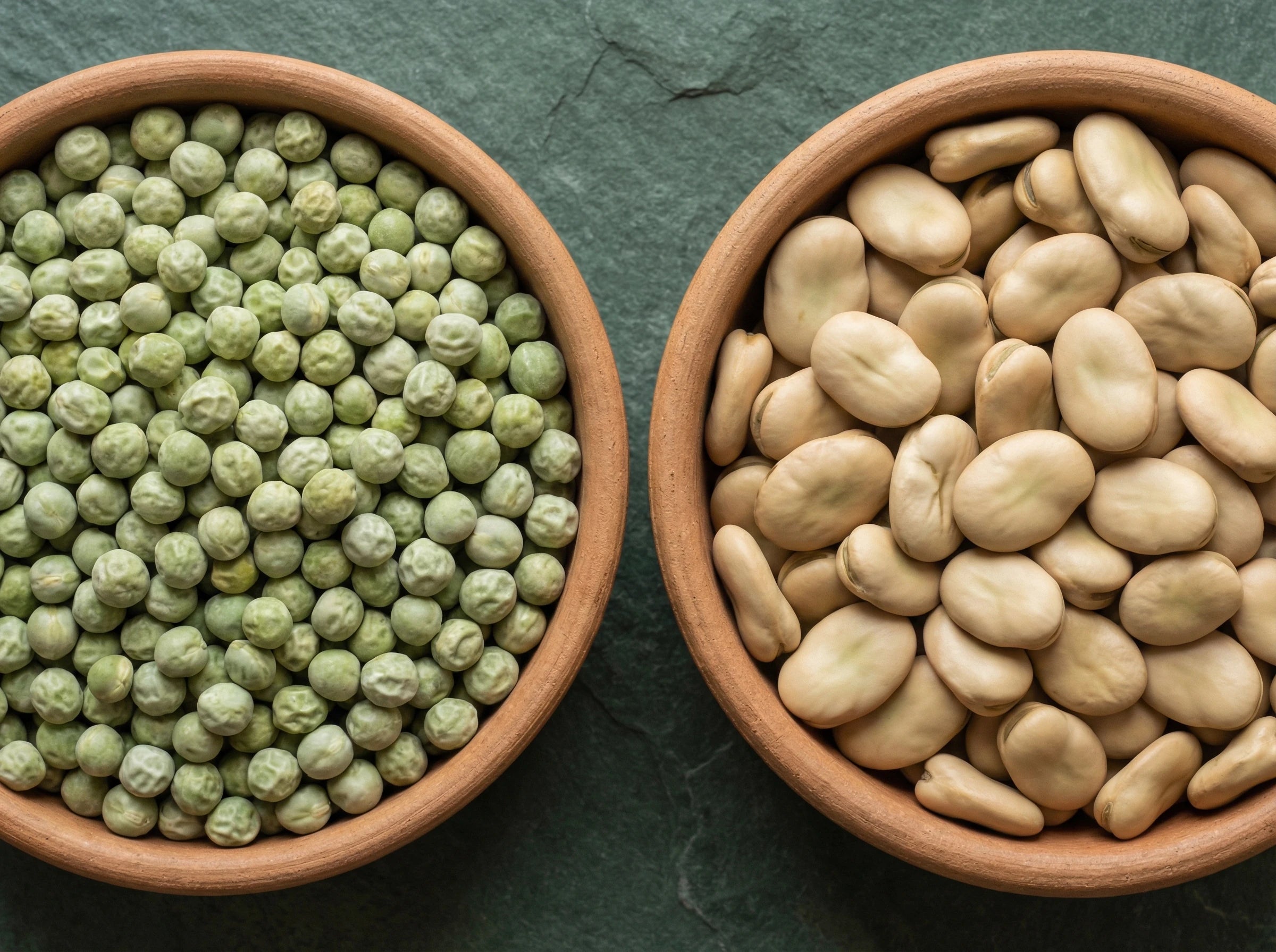 Aminosäureprofil-Vergleich: Erbsenprotein, Ackerbohnenprotein und Whey im Überblick – SYNTYZE Magazin