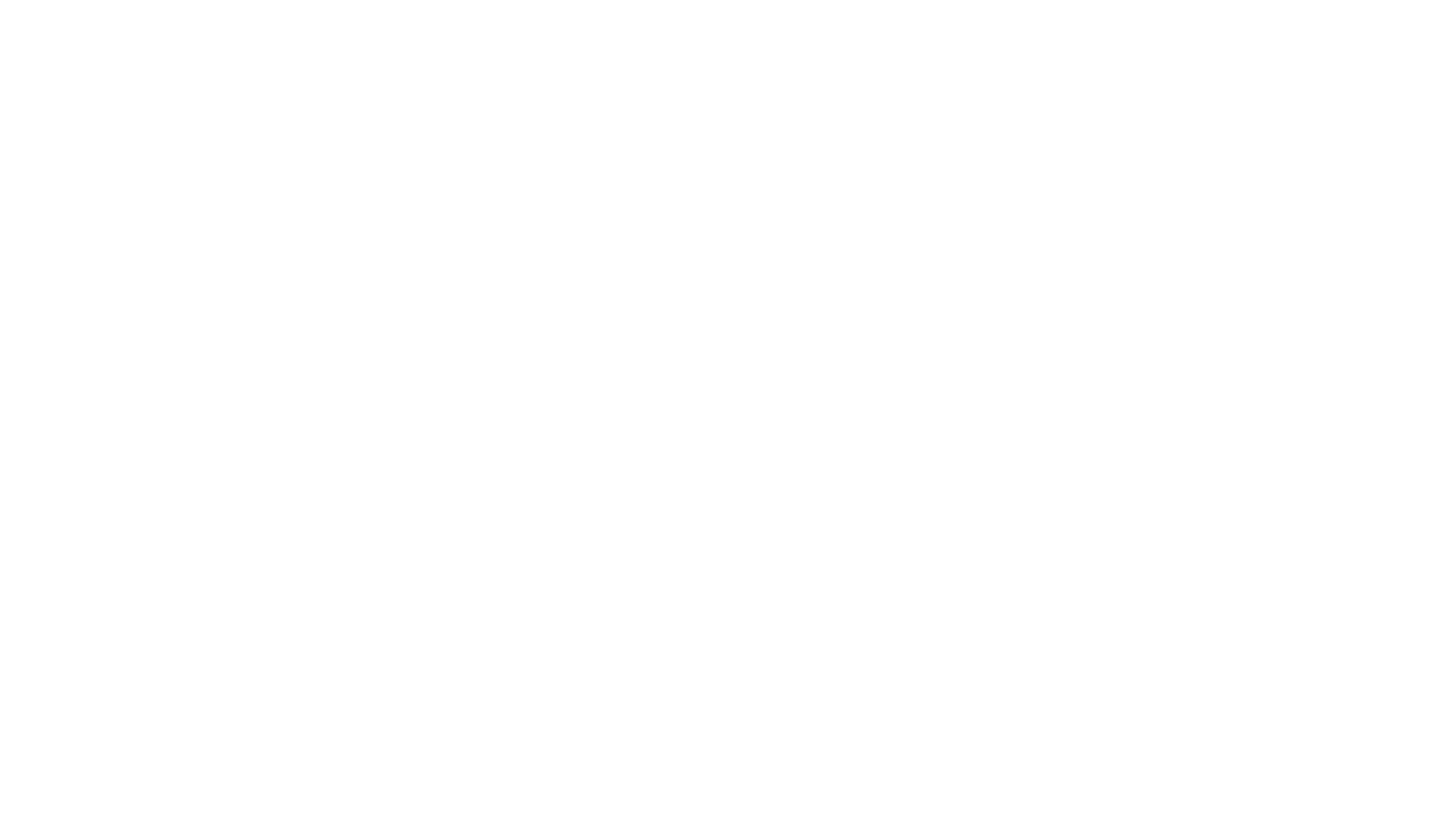 SYNTYZE Logo in white with clear background